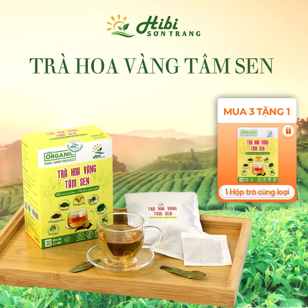 Trà Tâm Sen Hoa Vàng Hibi Sơn Trang - Hình Ảnh Thực Tế