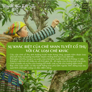 Lục trà hộp giấy 50g - Trà Shan Tuyết cổ thụ 300 năm tuổi-SuGiTea