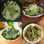 Dâm dương hoắc khô 100g, trà dâm dương, thơm, sạch - Tiệm lãn ông