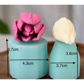 Set 2 khuôn silicon hoa tulip T3