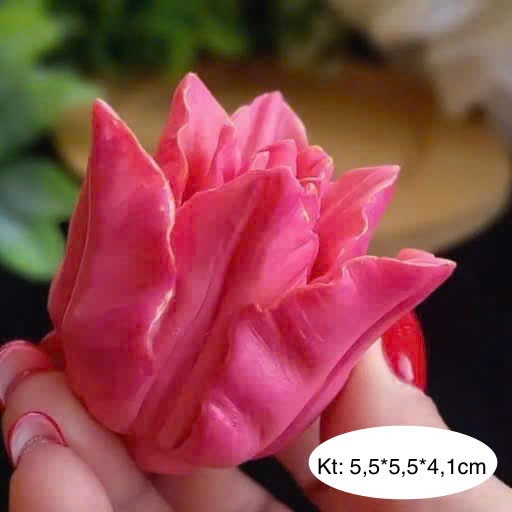 Khuôn silicon Hoa Tulip T1