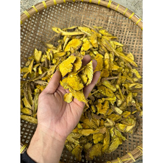 1kg Hoàng đằng khô ( hàng mới, sạch ) LOẠI 1