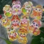 Set 10 & Set 30 Bao Lì Xì Chibi Tết Đẹp , loại dày, phản quang ,Hottrend