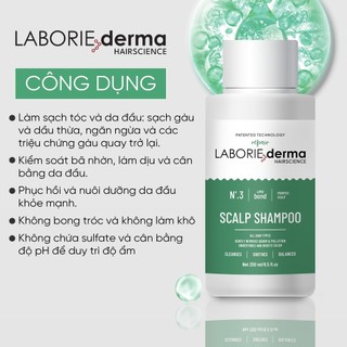 Bộ sản phẩm chăm sóc tóc Laborie Derma Hairscience,,Dầu gội Laborie Derma Hairscience