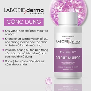 Bộ sản phẩm chăm sóc tóc Laborie Derma Hairscience,,Dầu gội Laborie Derma Hairscience