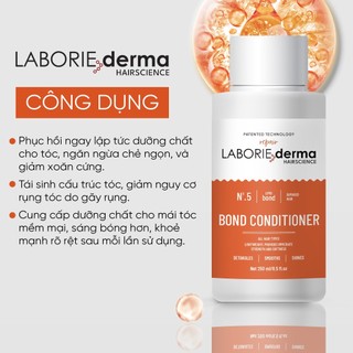 Bộ sản phẩm chăm sóc tóc Laborie Derma Hairscience,,Dầu gội Laborie Derma Hairscience