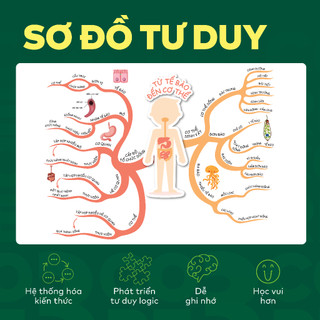 Sách - Đột phá tư duy Khoa học tự nhiên 6 - Dùng chung cho các bộ SGK | WinBook