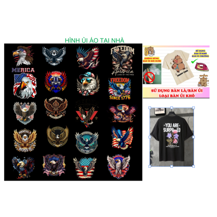 [HÌNH ỦI NHIỆT]Hình  VẼ ĐẠI BÀNG/PANT ART HÌNH đại bàng ủi áo tại nhà bằng bàn ủi.