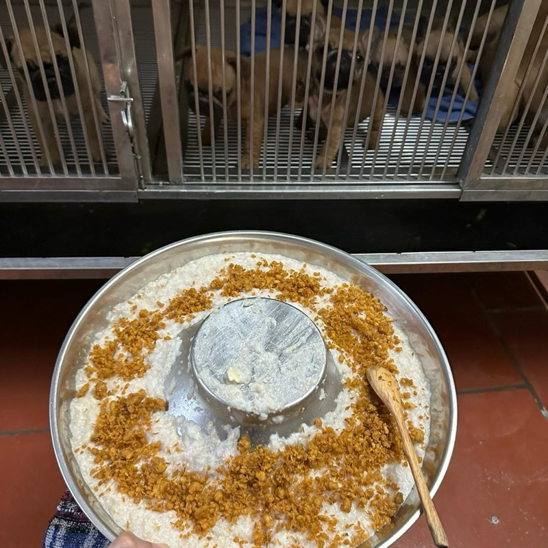 Ruốc Cá Hồi 100gr ăn liền tiện lợi, tăng cường đề kháng thơm ngon