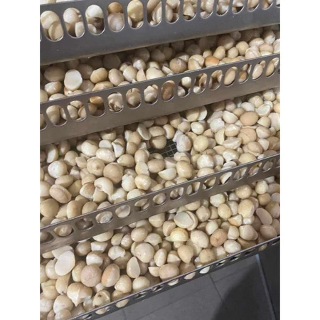 500g nhân macca vỡ sấy chín giòn ngon làm sữa hạt giá rẻ