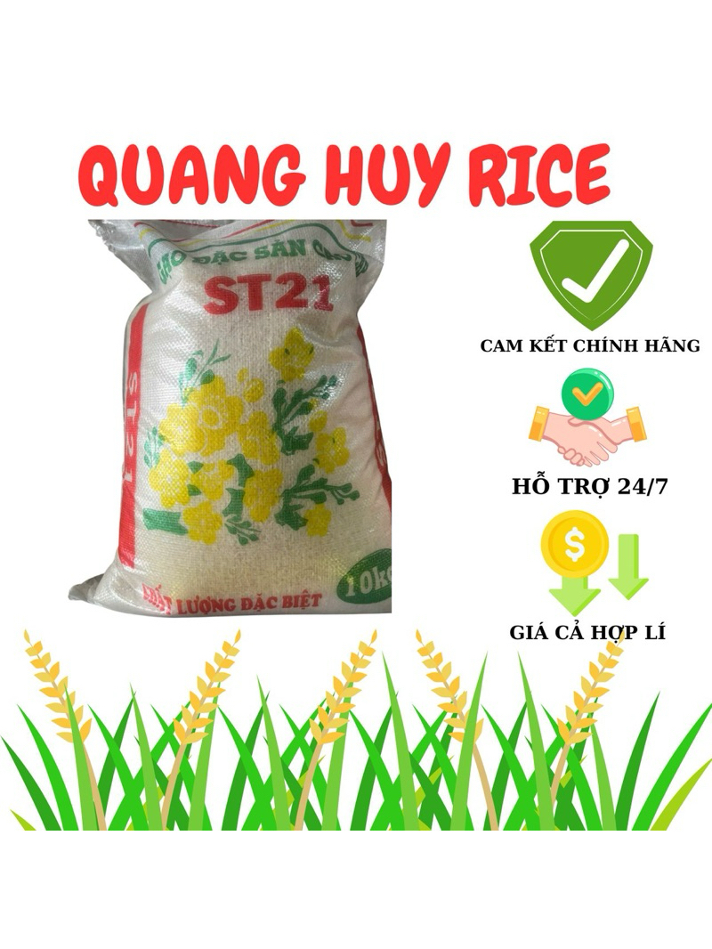 gạo st21 VIP dẻo ngọt cơm mùi thơm tự nhiên (10-25kg) | Shopee Việt Nam