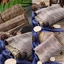 Đỗ trọng bắc 100g, đỗ trọng khô dập sợi đẹp - Tiệm lãn ông