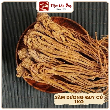 Củ đương quy 1kg, sâm đương quy khô, vàng, thơm - Tiệm lãn ông