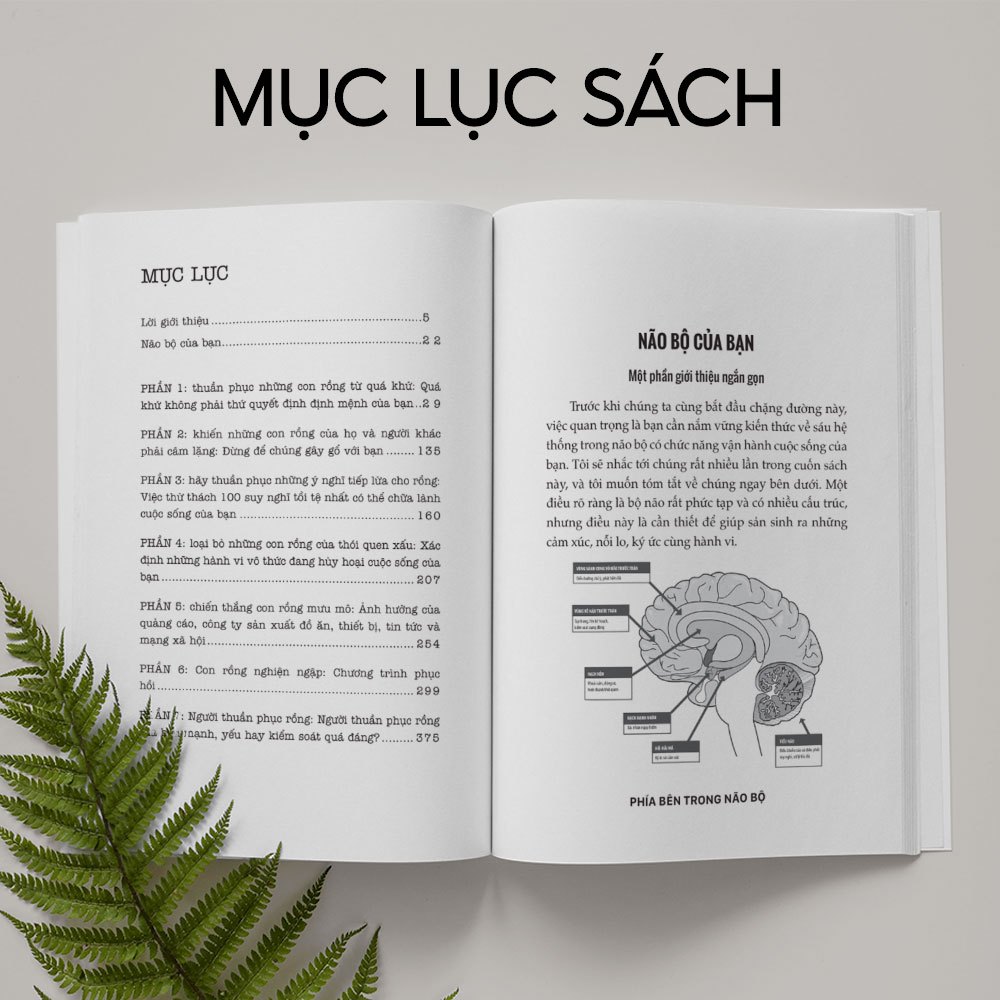 Bộ Sách Kích Hoạt Tiềm Năng Não Bộ: Đánh Thức Não Bộ Và Trí Nhớ Minh Mẫn, Tư Duy Sắc Sảo - Bizbooks