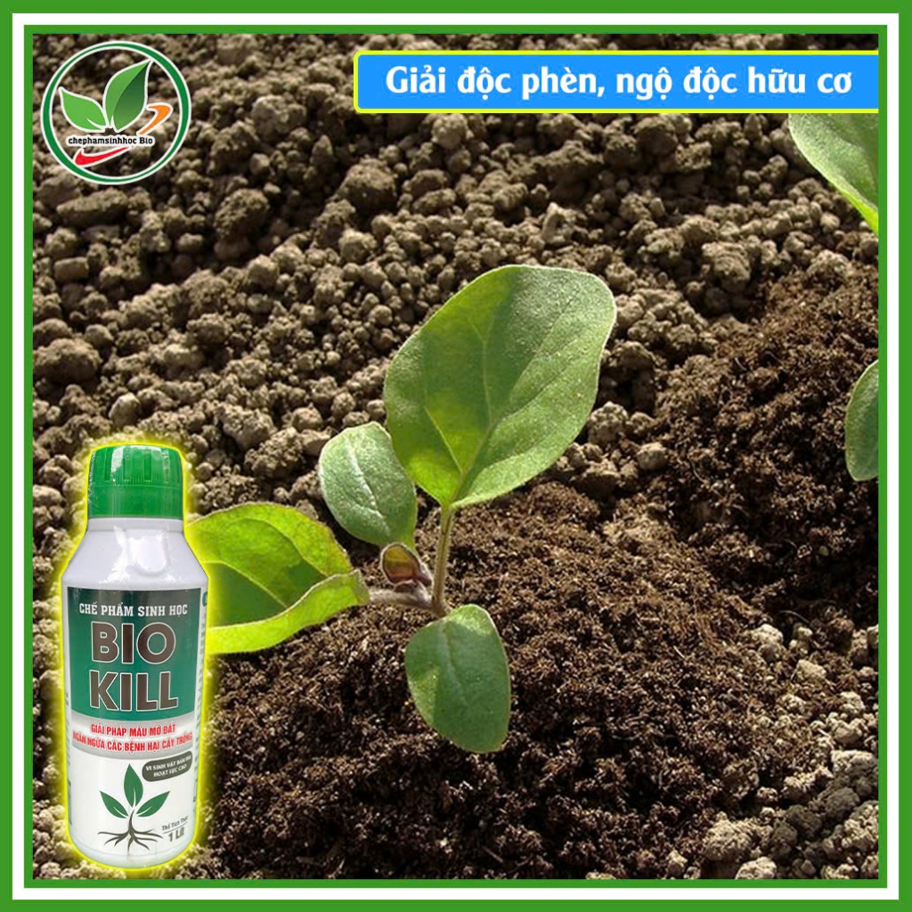 CHẾ PHẨM SINH HỌC BIO KILL. Giải Pháp Màu Mỡ Đất, Ngăn Ngừa Cách Bệnh Hại Cây Trồng. Chai 1L