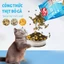 Hạt Cho Mèo Mr.Vet T2 Túi 1kg - Bổ Sung Omega 3, Chăm Da Dưỡng Lông, Topping Thịt Sấy