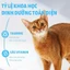 Hạt Cho Mèo Mr.Vet T2 Túi 1kg - Bổ Sung Omega 3, Chăm Da Dưỡng Lông, Topping Thịt Sấy