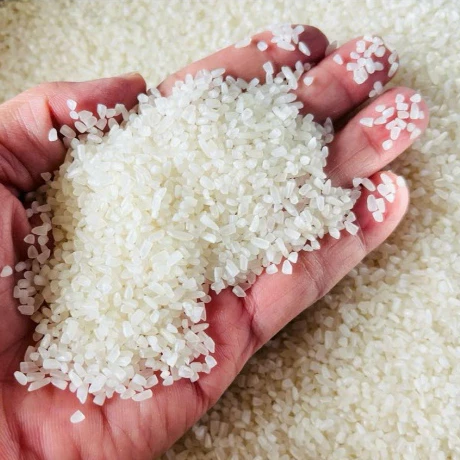 10Kg Gạo Tấm Thơm (gạo gãy) dẻo mềm thơm, gạo đóng bao 10kg