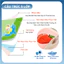 Bộ 20 Thẻ Kích Thích Thị Giác Cho Trẻ 0-3 Tuổi, Giúp Bé Phát Triển Toàn Diện