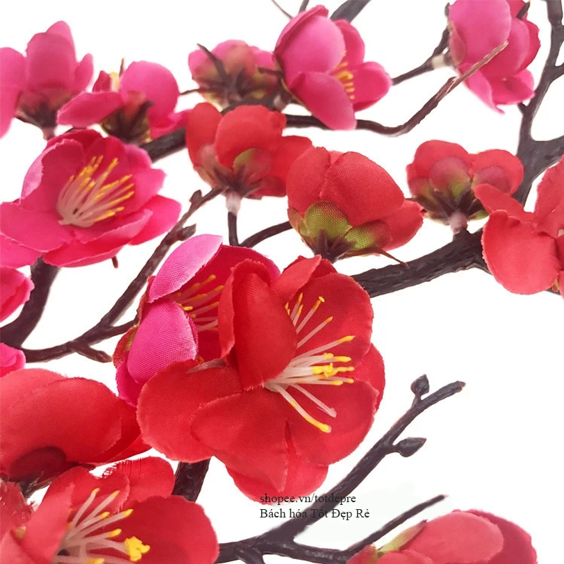 Cành đào cổ màu đẹp trang trí Tết
