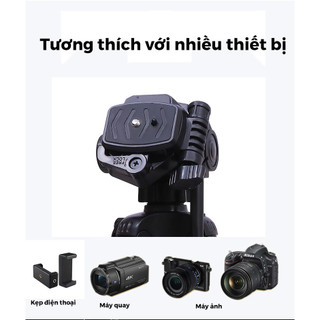 Tripod điện thoại chân máy ảnh máy quay phim Weifeng WT 3520 hàng chính hãng tặng kèm kẹp điện thoại