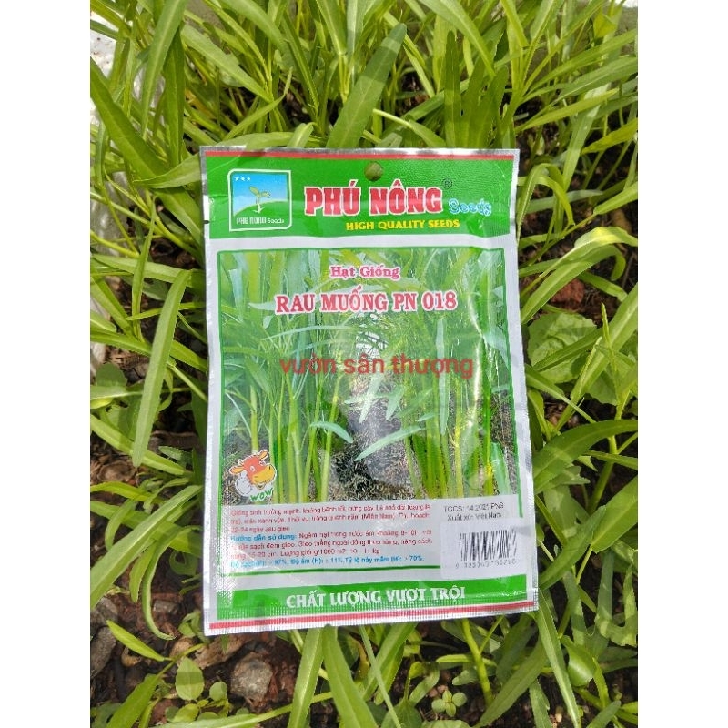 Hạt giống Rau Muống Cao Sản Dạng Lá Tre Phú Nông Gói 50g, Dễ Trồng