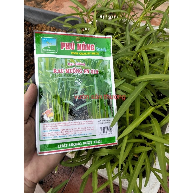 Hạt giống Rau Muống Cao Sản Dạng Lá Tre Phú Nông Gói 50g, Dễ Trồng