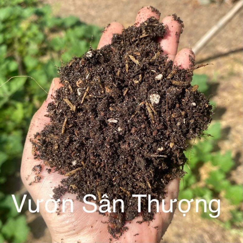 Đất Di.nh Dưỡ.ng Trồng Cây, Rau, Củ, Quả, Hoa 5kg Trồng ngay