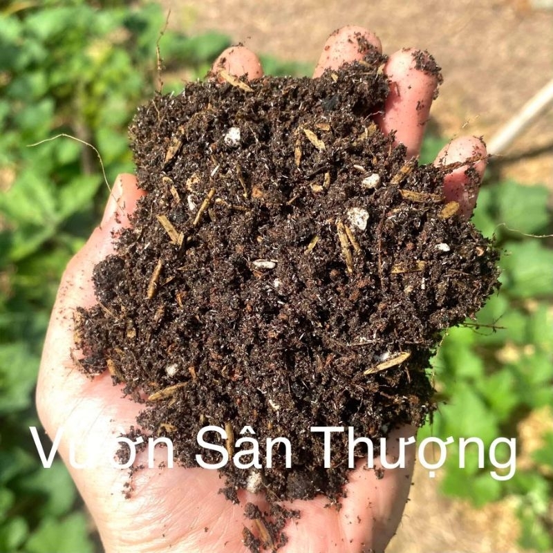 Đất Di.nh Dưỡ.ng Trồng Cây, Rau, Củ, Quả, Hoa 5kg Trồng ngay