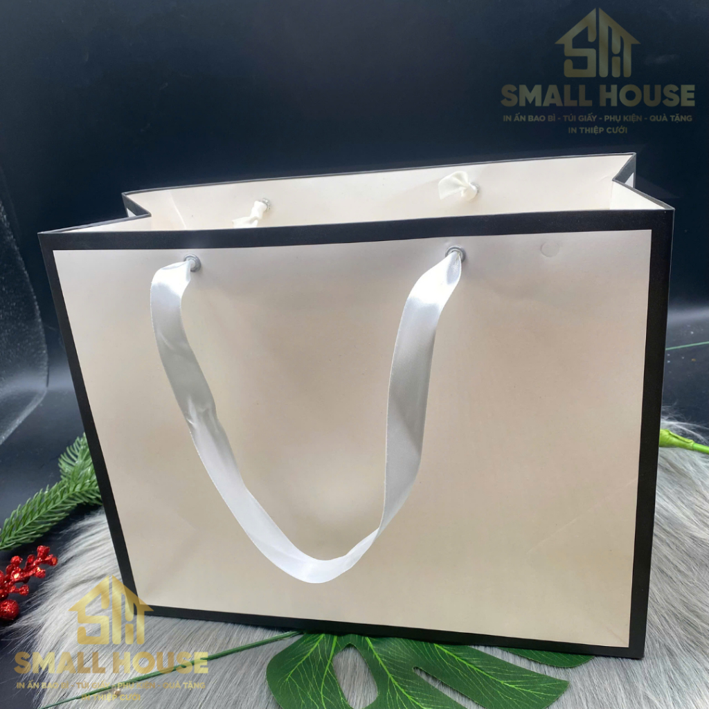 5 cái Túi giấy thời trang nữ đựng quần áo túi xách mỹ phẩm, quà tặng