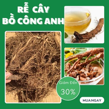 [Hàng Công Ty] Rễ bồ công anh khô 200g
