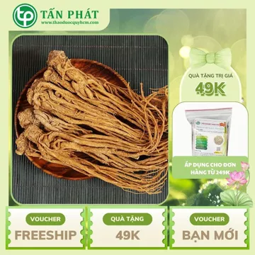 [Hàng Công Ty] Sâm đương quy khô [Loại 1], Đương quy khô