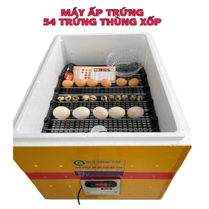 Máy ấp trứng 54 trứng và bộ máy và khay 54 trứng tự lắp thùng xốp đảo tự động