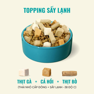 Thức Ăn Cho Mèo Bite Of Wild P42 Combo 5 Gói 1KG Không Chứa Ngũ Cốc Mix Thịt Sấy Cho Mèo Mọi Lứa Tuổi