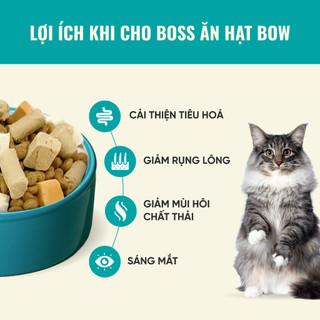 Thức Ăn Cho Mèo Bite Of Wild P42 Combo 5 Gói 1KG Không Chứa Ngũ Cốc Mix Thịt Sấy Cho Mèo Mọi Lứa Tuổi