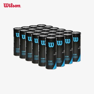 Wilson Tour Premier All Court Set 12 Bóng Tennis 3 Ball Can WRT109400