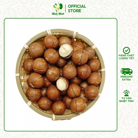 Hạt Macca Sấy Nứt Vỏ Đắk Lắk LOẠI 1, Hạt Macadamia To Tròn Đều Giàu Dinh Dưỡng, Kèm Khóa Tách Vỏ