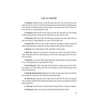 Sách - Hải Thượng Y Tông Tâm Lĩnh - Tập 4