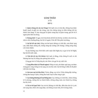 Sách - Hải Thượng Y Tông Tâm Lĩnh - Tập 4
