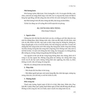 Sách - Hải Thượng Y Tông Tâm Lĩnh - Tập 5