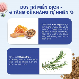 [2.4kg] Thức ăn chó mọi lứa tuổi Dog Mania xuất xứ Hàn Quốc