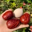 Táo đỏ Hòa Điền Tân Cương 100g, trà táo đỏ, thịt dày, hạt lép, size đại 60-70 quả/kg, dùng pha trà, ăn vặt