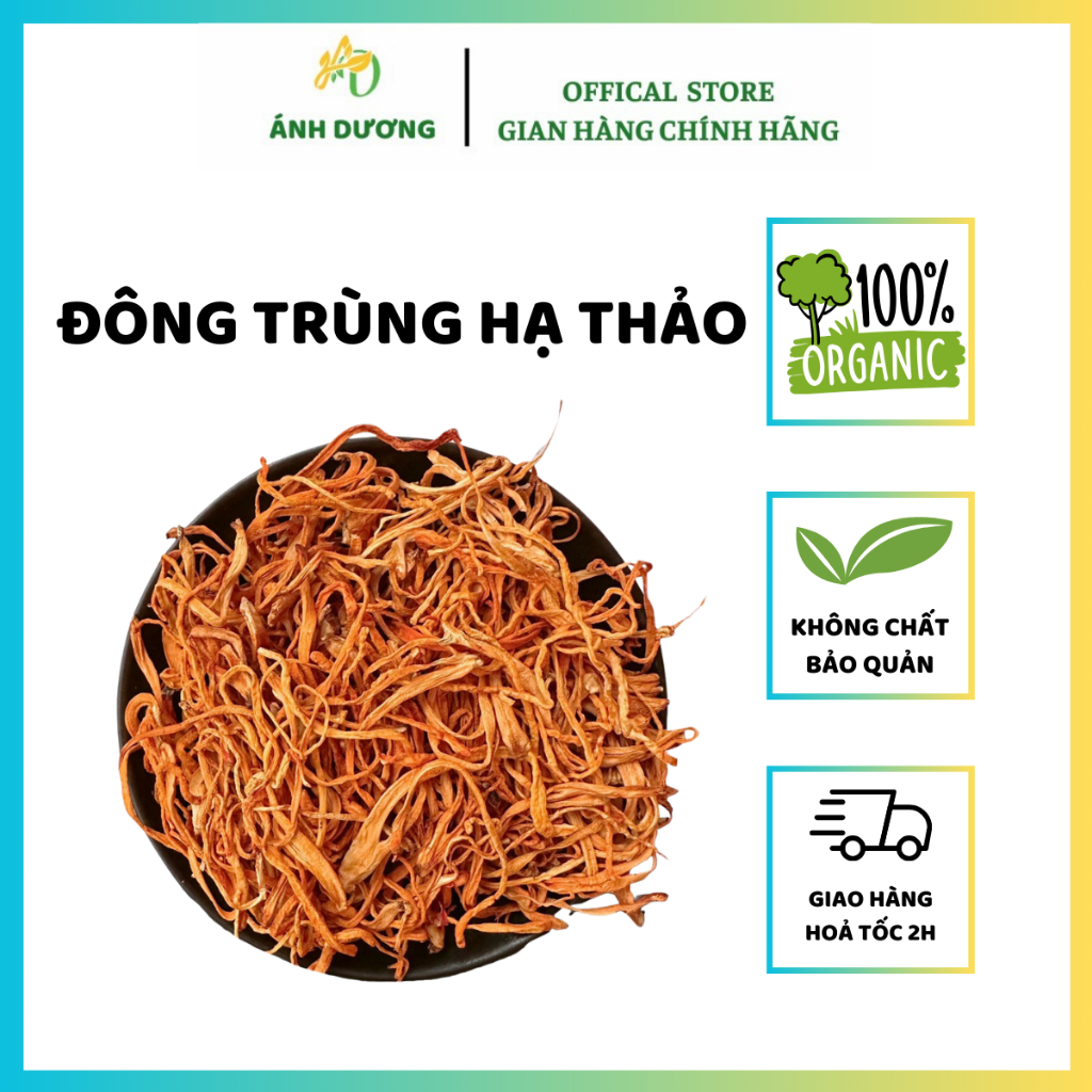 500GR Đông Trùng Hạ Thảo Sấy Khô Thăng Hoa Giúp Giảm Căng Thẳng Mệt Mỏi