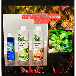 Combo phân nước NVL Đa + Vi Lượng 500ml + DoPing Pro 150ml()