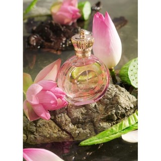 Nước hoa Charm sen hồng 70ml SenVita