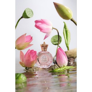 Nước hoa Charm sen hồng 70ml SenVita