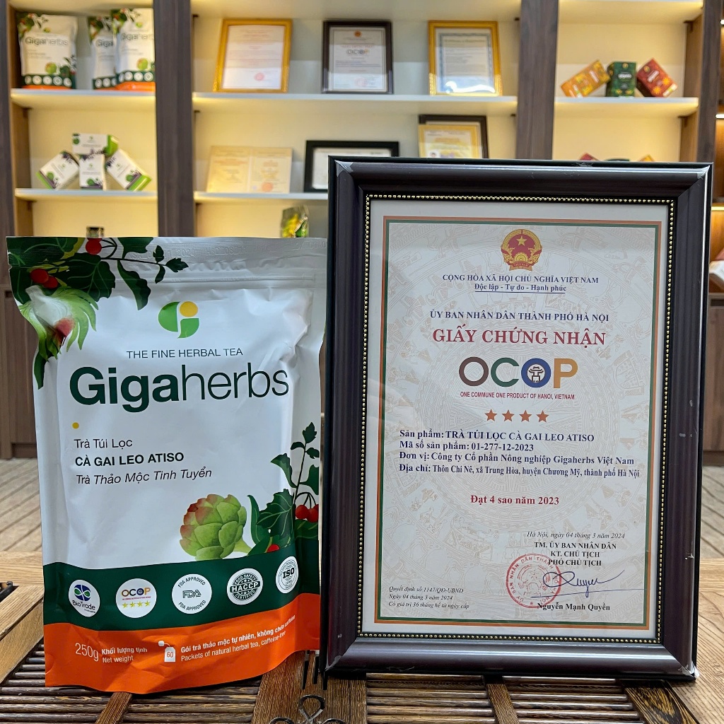 Trà Mát Gan GigaHerbs - Túi Zip 250Gram Trà  Atiso Cà Gai Leo Sạch Nguyên Chất - Hỗ trợ thanh nhiệt, giải độc