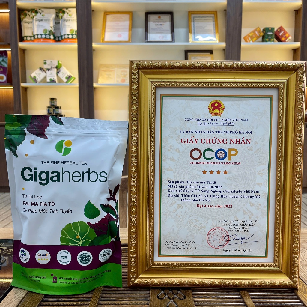 Trà Rau Má Tía Tô Gigaherbs - Túi 250Gr Rau Má Tía Tô Sạch Nguyên Chất - Hỗ trợ Thanh nhiệt, Giải độc