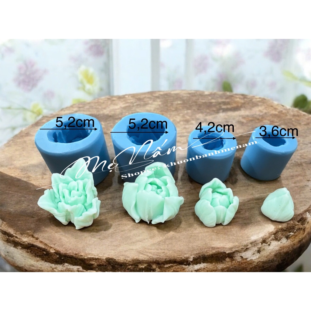 Set 4 hoa tulip mẫu mới