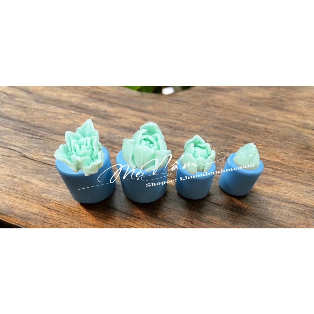 Set 4 hoa tulip mẫu mới